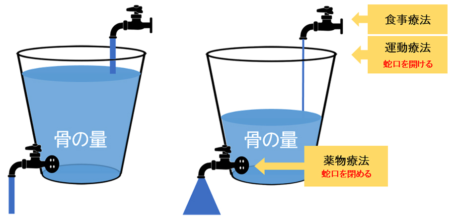 骨力低下