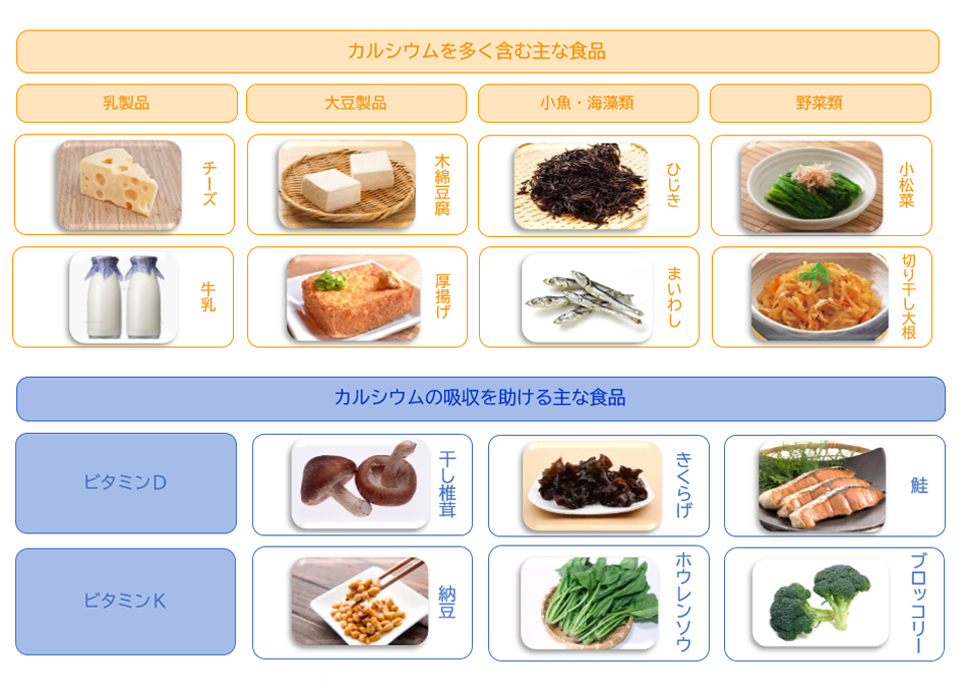 カルシウムを多く含む主な食材